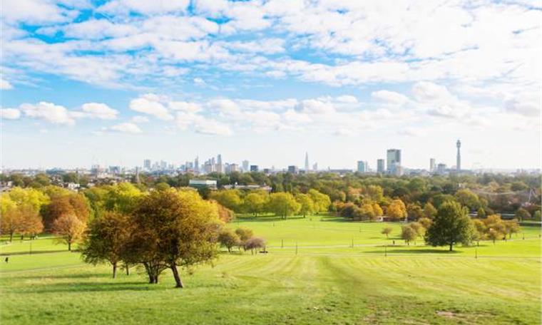 Primrose Hill, London